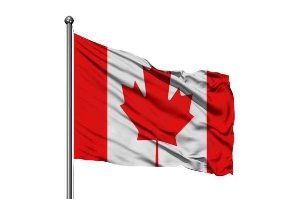 Σημαία Του Καναδά Κουνώντας Στον Άνεμο Απομονωμένες Λευκό Φόντο Καναδική — Φωτογραφία Αρχείου