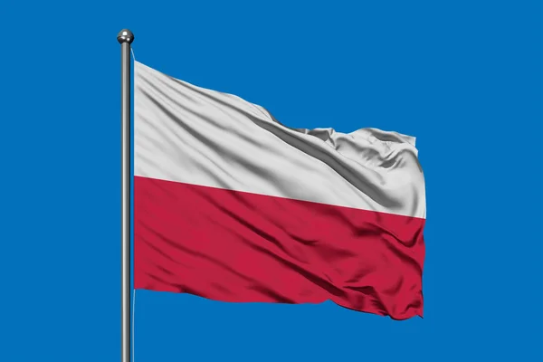 Flaga Polska Macha Wietrze Przeciw Błękitne Niebo Flaga Polski — Zdjęcie stockowe