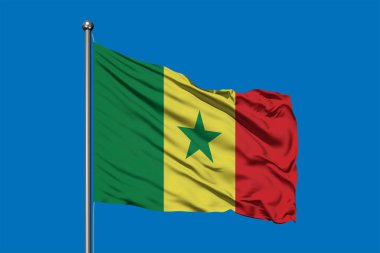 Senegal derin mavi gökyüzü karşı rüzgarda sallayarak bayrak. Senegalli bayrak.