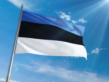 Estonya bayrağı Ulusal sallayarak güneşli mavi gökyüzü arka plan karşı kutup. Yüksek çözünürlüklü