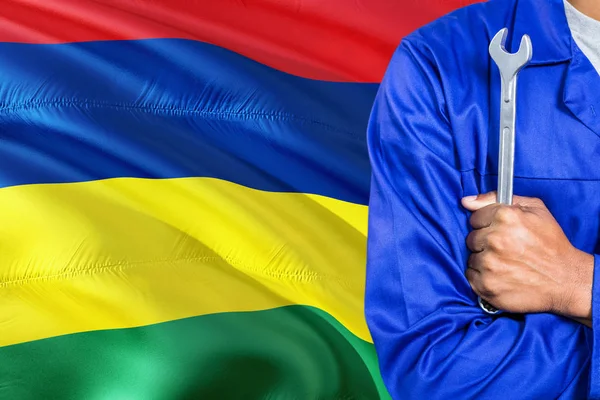 Mauritiusi Szerelő Kék Egységes Gazdaság Csavarkulcs Hullámzó Mauritius Zászló Háttérrel — Stock Fotó