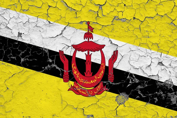 Brunei Zászlaja Repedt Piszkos Falra Festett Országos Minta Vintage Stílusú — Stock Fotó
