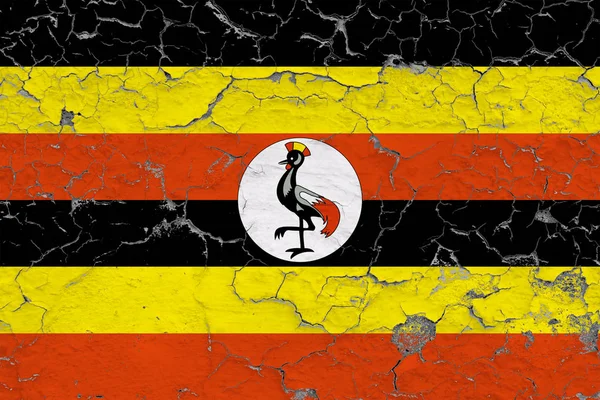 Vlag Van Oeganda Gebarsten Vuile Muur Geschilderd Nationale Patroon Oppervlakte — Stockfoto