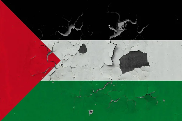 Close Grungy Damaged Weathered Palestine Flag Wall Peeling Paint See — Stock Photo, Image
