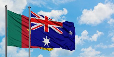 Kamerun ve Heard Adası ve Mcdonald Adaları bayrağı birlikte beyaz bulutlu mavi gökyüzüne karşı rüzgarda sallayarak. Diplomasi kavramı, uluslararası ilişkiler.