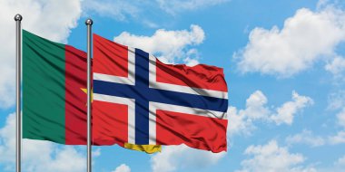 Kamerun ve Bouvet Adaları bayrağı birlikte beyaz bulutlu mavi gökyüzüne karşı rüzgarda sallayarak. Diplomasi kavramı, uluslararası ilişkiler.