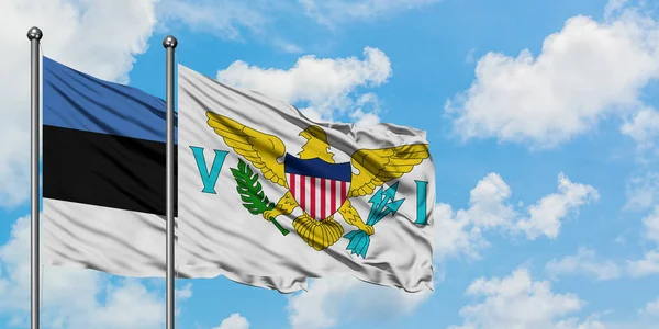 Estonia y Estados Unidos bandera de las Islas Vírgenes ondeando en el viento contra el cielo azul nublado blanco juntos. Concepto diplomático, relaciones internacionales . — Foto de Stock