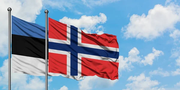 爱沙尼亚和布韦特群岛国旗在风中飘扬，与白云蓝天相依为战。外交概念、国际关系. — 图库照片