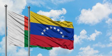 Madagaskar ve Venezuela bayrağı birlikte beyaz bulutlu mavi gökyüzüne karşı rüzgarda sallayarak. Diplomasi kavramı, uluslararası ilişkiler.