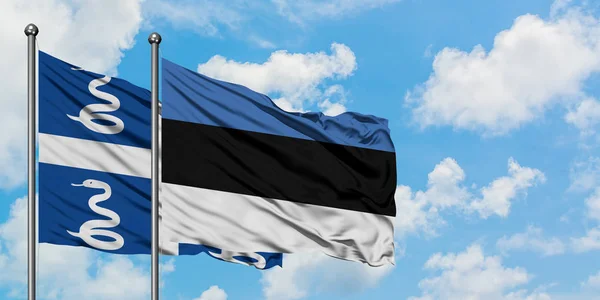 마르티니크와 에스토니아 국기가 함께 하얀 흐린 푸른 하늘에 대해 바람에 흔들리고. 외교 개념, 국제 관계. — 스톡 사진