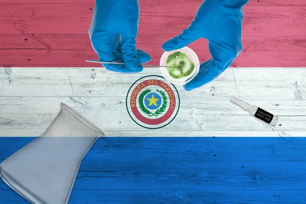 Paraguay flag on laboratory table. Medical healthcare technologist holding COVID-19 swab collection kit, wearing blue protective gloves, epidemic concept.