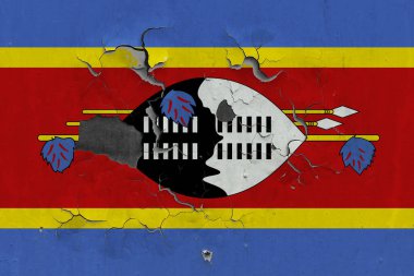 Svaziland bayrağı eski, hasarlı ve kirli bir şekilde duvarın içini görmek için boyayı soyuyor. Klasik Ulusal Konsept.