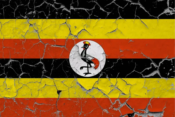 Bandeira Uganda Fechar Grungy Danificado Arranhado Parede Descascando Tinta Para — Fotografia de Stock