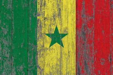 Grunge 'daki Senegal bayrağı ahşap yüzeyi çizmiş. Ulusal klasik arka plan. Eski tahta masa bayrak yüzeyini çizmiş..