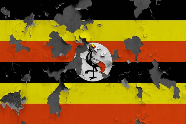 Uganda Vlag Close Geschilderd Beschadigd Vuil Muur Pellen Van Verf — Stockfoto
