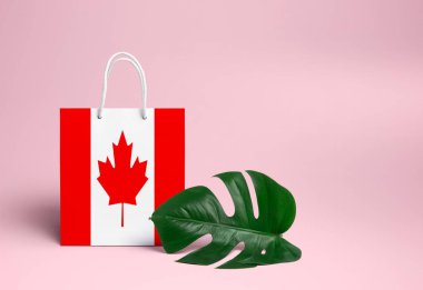 Kanada alışveriş konsepti. Canavar yaprağı ve pembe arka planlı ulusal karton alışveriş torbası. Çevrimiçi alışveriş teması.