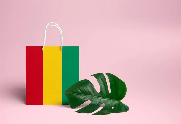 Guinée Bissau Concept Shopping Sac Provisions National Carton Avec Feuille — Photo