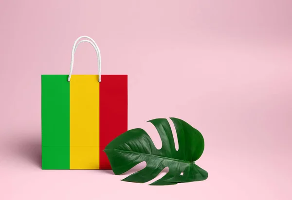 Mali Concept Shopping Sac Provisions National Carton Avec Feuille Monstère — Photo