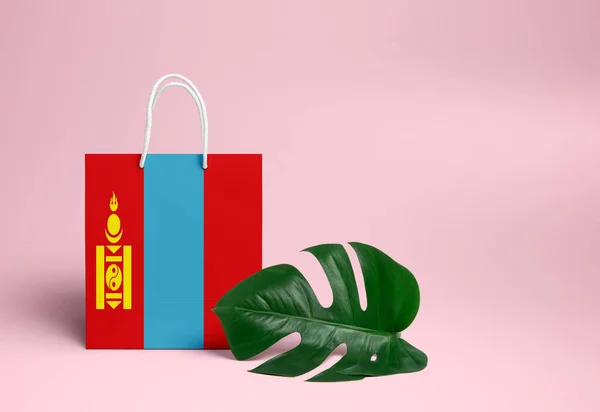 Conceptul Cumpărături Din Mongolia Geanta Nationala Cumparaturi Din Carton Frunze — Fotografie, imagine de stoc