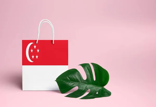 Conceptul Cumpărături Din Singapore Geanta Nationala Cumparaturi Din Carton Frunze — Fotografie, imagine de stoc