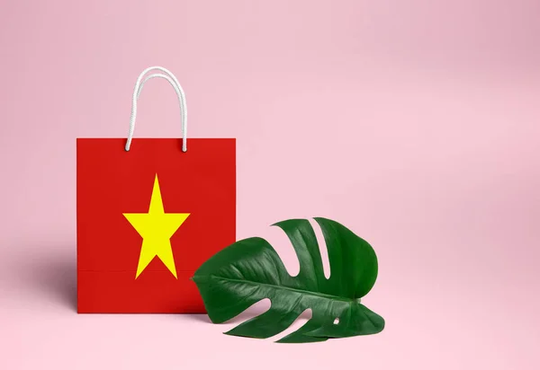 Vietnam Concept Shopping Sac Provisions National Carton Avec Feuille Monstère — Photo
