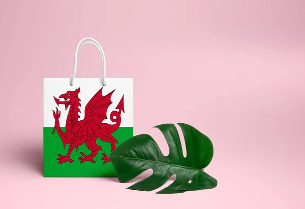 Wales shopping concept. National cardboard shopping bag with monstera leaf and pink background. Online shopping theme.
