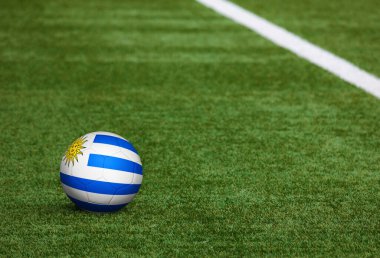 Futbol sahasında topun üzerinde Uruguay bayrağı. Ulusal futbol teması yeşil çimlerde. Spor yarışması konsepti.