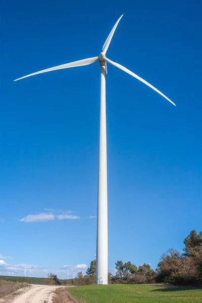 Parc Éolien Pour Électricité — Photo