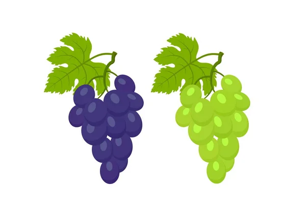 Uvas rojas y blancas con hojas imagen vectorial aislada de fruta — Vector de stock