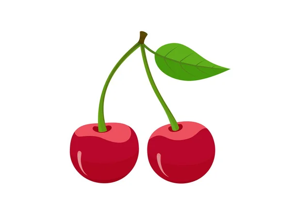 Two cherries with leaf isolated vector fruit — Stock Vector