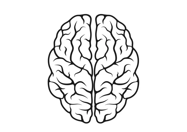 Ícone do cérebro contorno isolado vetor mente sinal —  Vetores de Stock