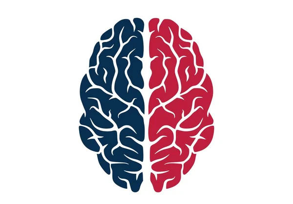 人間の脳のアイコン色の孤立したベクター画像 — ストックベクタ