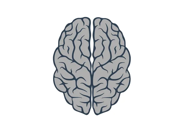 Ícone do cérebro, vista superior. mente, psicologia e neurologia médica sinal —  Vetores de Stock