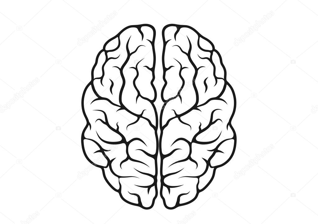 brain icon contour isolated vector mind sign