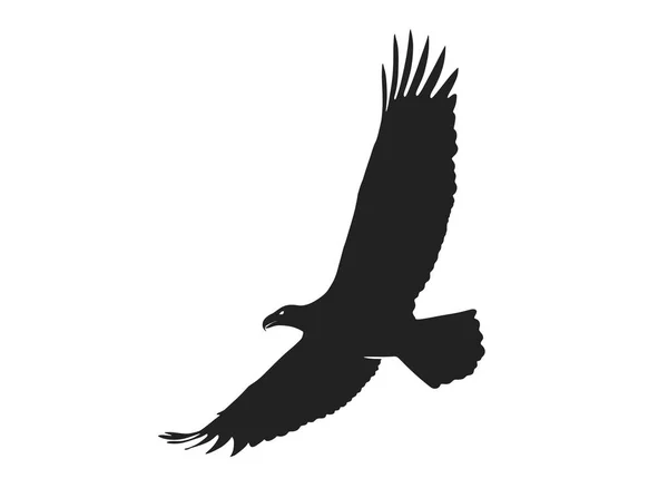 Eagle in vlucht met brede spanwijdte. geïsoleerde vector silhouet afbeelding — Stockvector