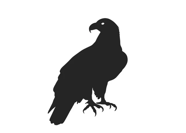 Sitting eagle. isolated vector silhouette image of bird of prey — Stock Vector