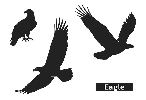 Eagle silhouet instellen. Dierentuin symbool van kracht, Hoogheid, element van de lucht. Eagle symbool van de VS — Stockvector