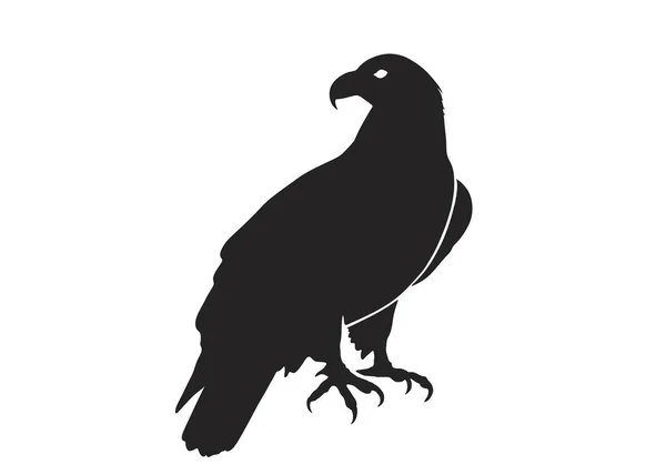 Aigle assis. silhouette vectorielle isolée de l'oiseau de proie — Image vectorielle