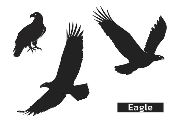 Ensemble de silhouette aigle. zoo symbole de force, altérité, élément d'air. aigle symbole des Etats-Unis — Image vectorielle