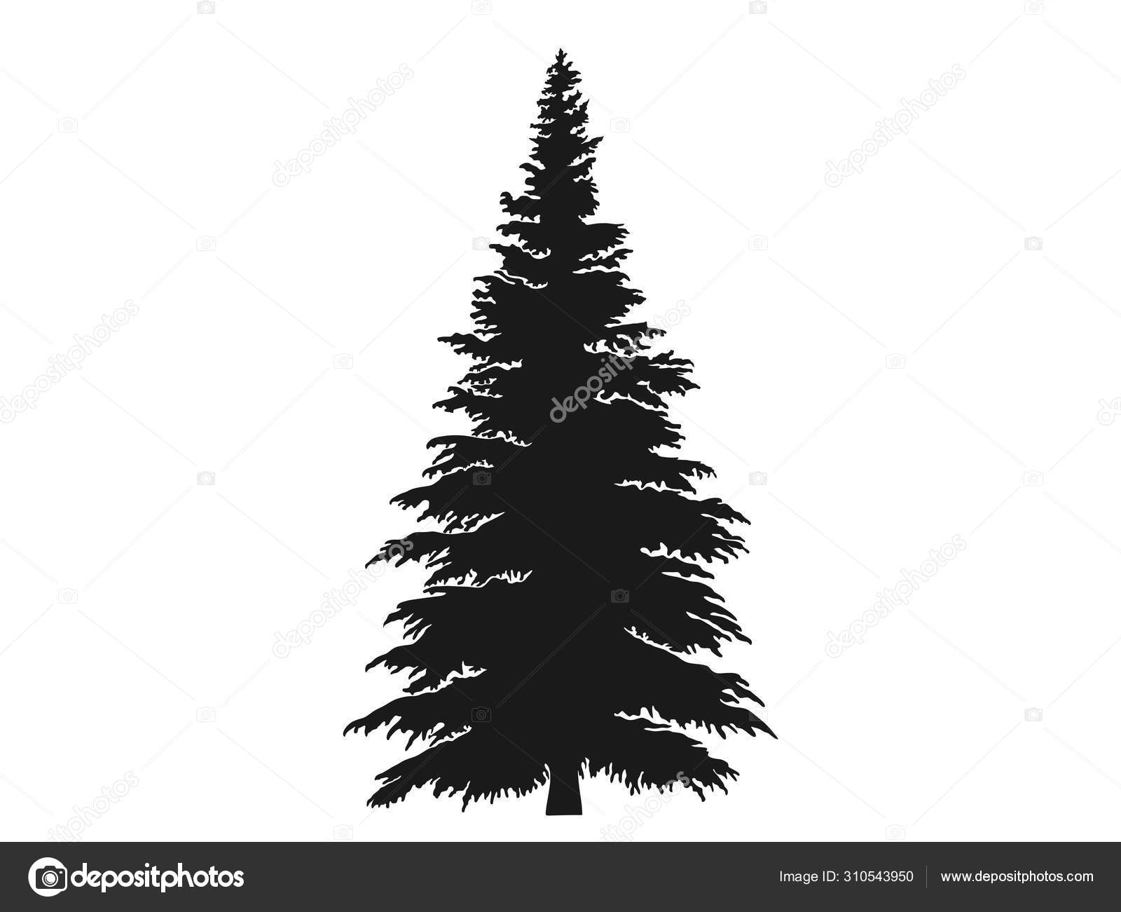 モミの木のシルエットクリスマスと新年のデザイン要素 ストックベクター C Nm09