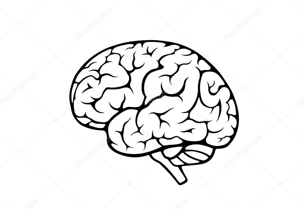 human brain icon. side view. isolated vector mind, psychology and medical neurology sign