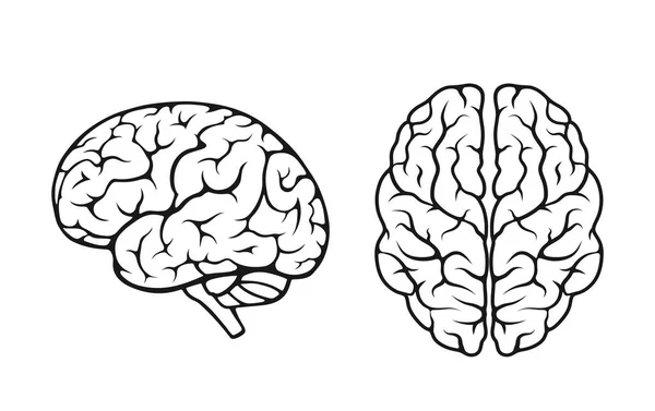 Human Brain Icon Set Side Top View Isolated Vector Mind — Stock Vector