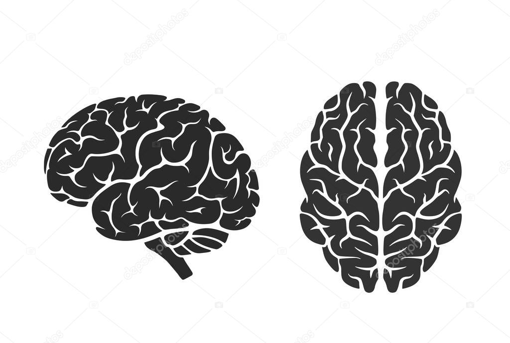 brain icons. side and top view. isolated vector mind, intelligence, psychology and medical neurology symbol