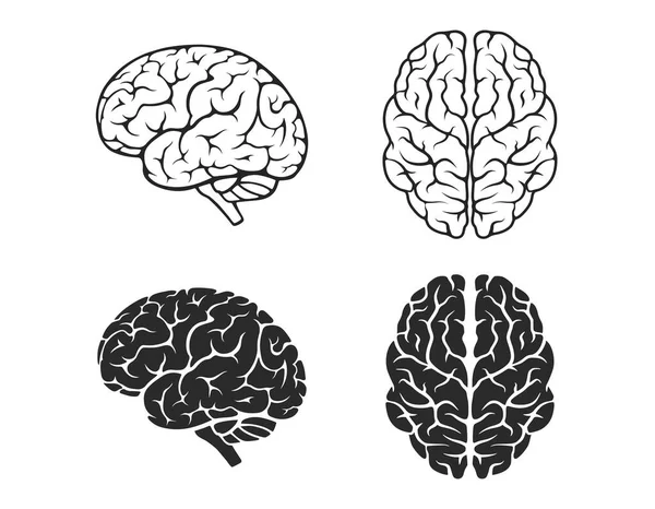 Conjunto Ícone Cérebro Mente Vetorial Isolada Inteligência Psicologia Símbolo Neurologia —  Vetores de Stock