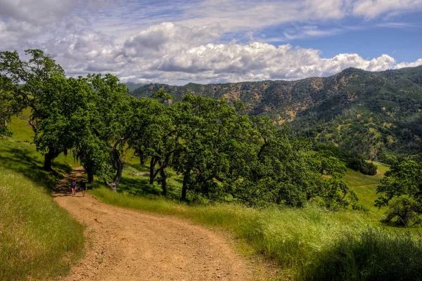 Backpackers Lopen Langs Armoede Vlakke Weg Henry Coe State Park Stockafbeelding