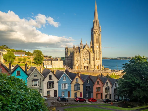 Renkli evler ve katedral Cobh İrlanda