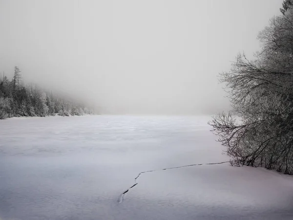 Neblig Zugefrorener See Mitten Bergwald Deutschland — Stockfoto