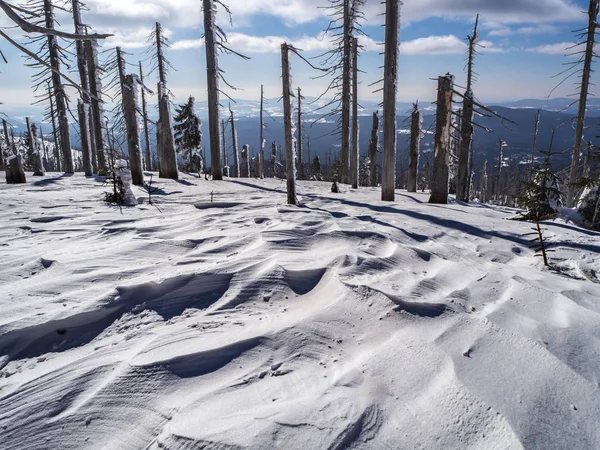 Inverno Neve Paisagem Alemanha Montanhas — Fotografia de Stock