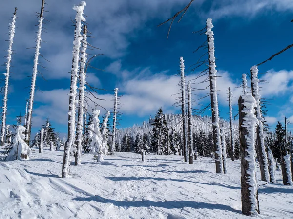 Mavi gökyüzü ile Bayerischerwald dağlarda Alman kış manzarası 