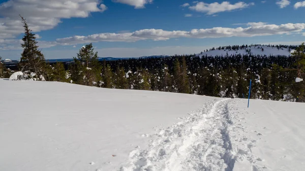 Caminho Neve Inverno Lapônia Finlândia — Fotografia de Stock